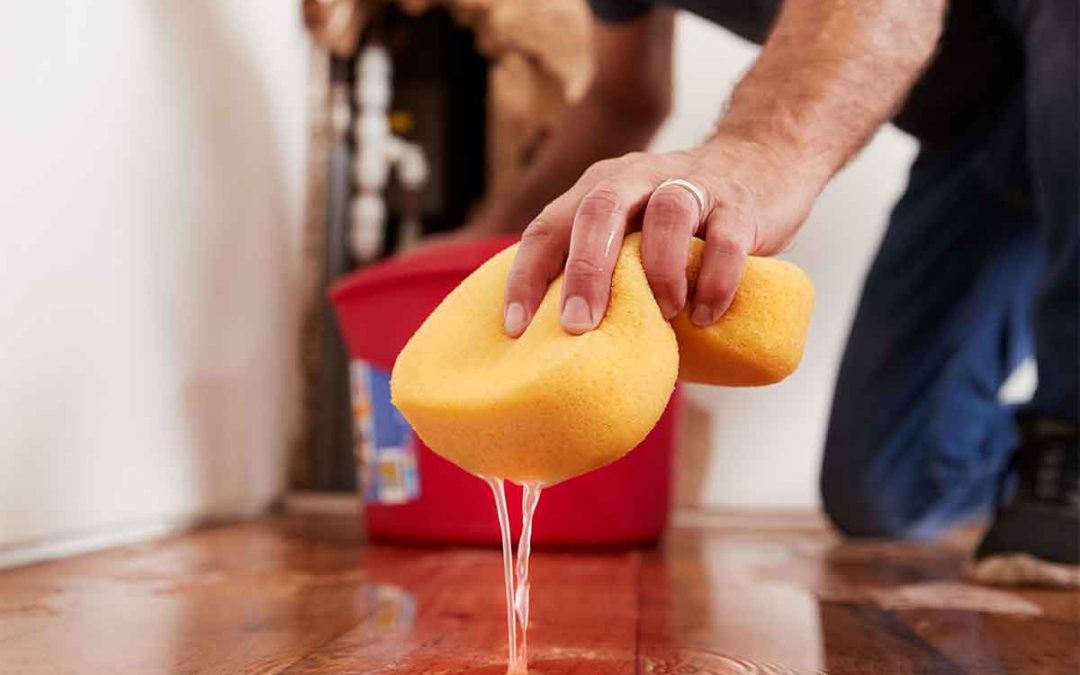 5 Plumbing Emergencies You Should Never Ignore