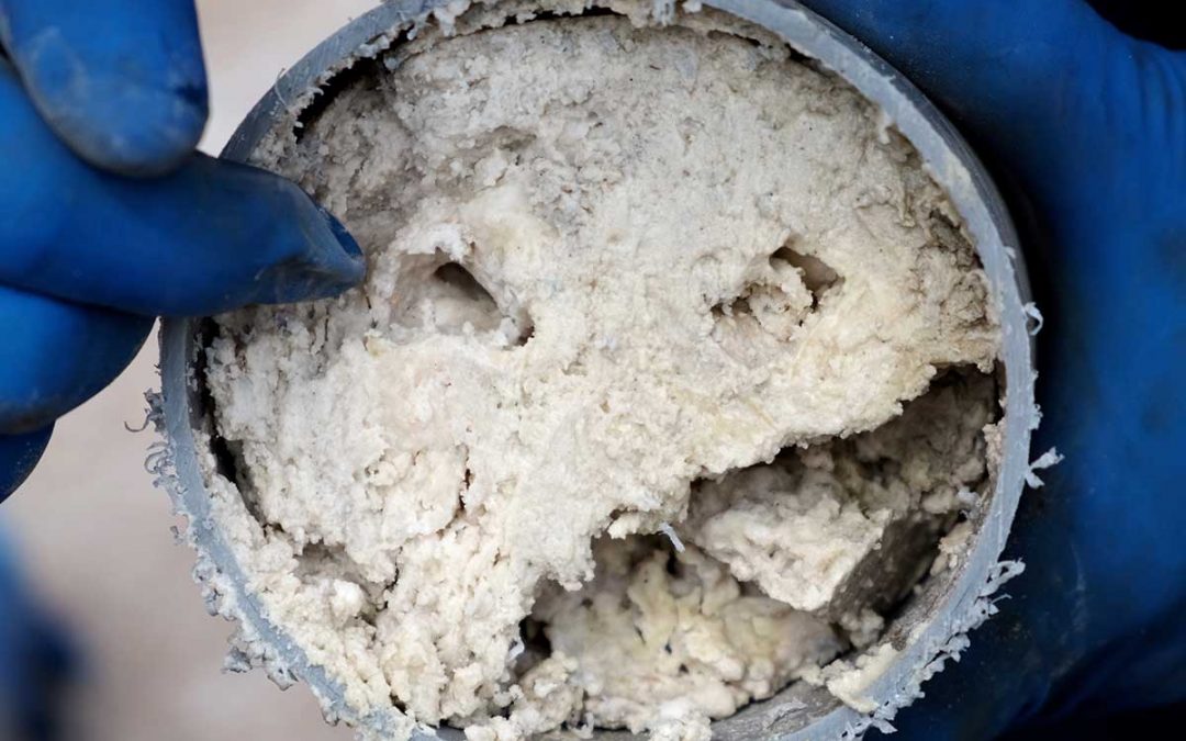 Don’t Pour Fats, Oils, and Grease Down the Drain: Here’s What to Do Instead