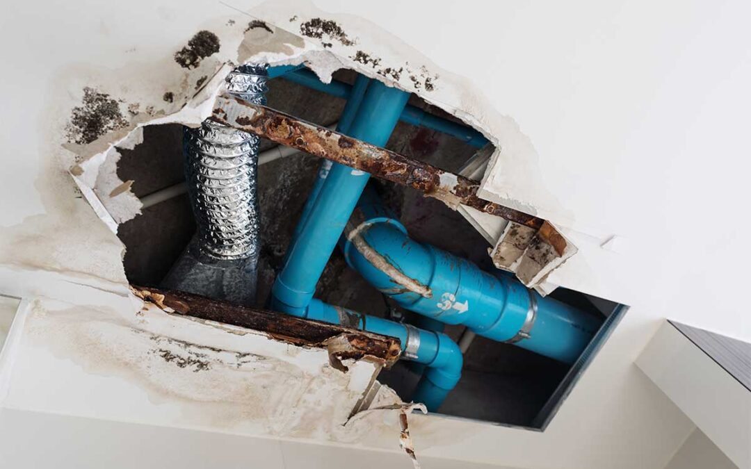 Don’t Underestimate a Plumbing Leak: The Critical Role of Professional Detection and Repair Services
