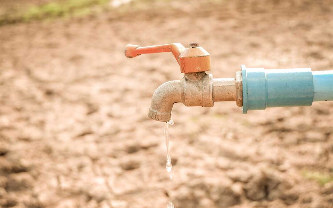 Why You Shouldn’t Ignore That Drip: The Real Cost of a Leaky Faucet in SoCal