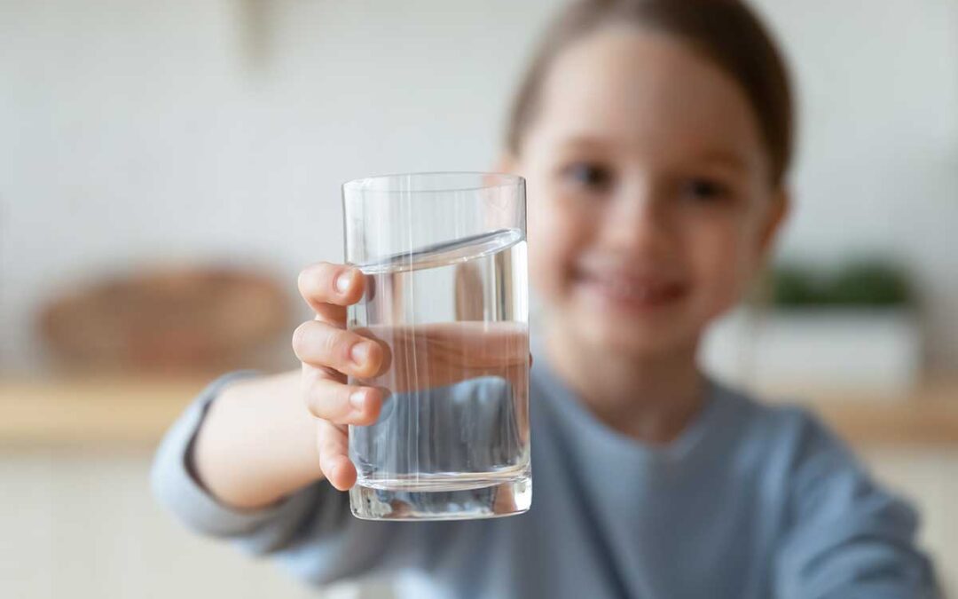 Water Softener vs. Water Filtration vs. Salt-Free Water Conditioning: Which System Does Your Southern California Home Need?