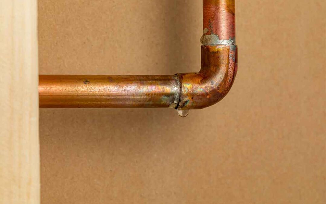 Corroded old pipe with two leaks dripping water, illustrating repipe versus spot repair decisions